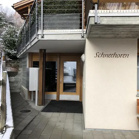 Schneehoren Penthouse