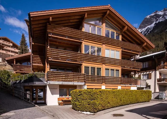 Schneehoren Penthouse דירה