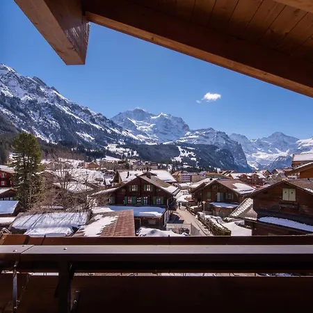 Schneehoren Penthouse アパート