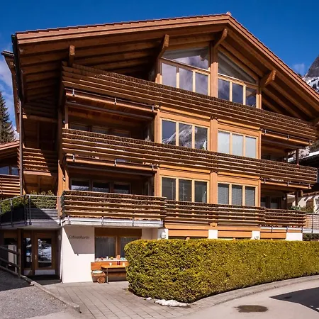 Schneehoren Penthouse アパート