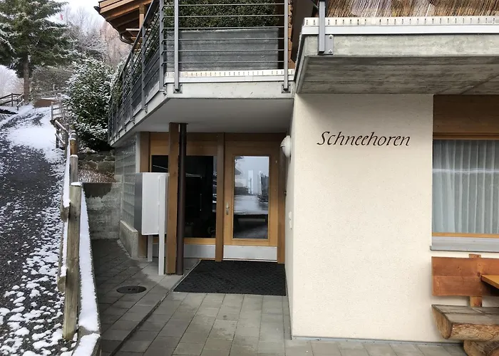 Schneehoren Penthouse